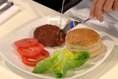 burger 12